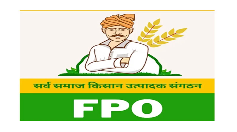 असम कैबिनेट का बड़ा फैसला, किसानों और FPO के कृषि ढांचा ऋण में सरकार देगी हिस्सा