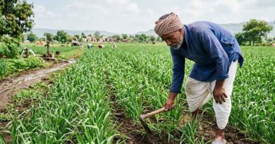 अब मंडी जाने से पहले किसान जान सकेंगे भाव, यूपी की 251 मंडियां एगमार्कनेट 2.0 से जुड़ीं