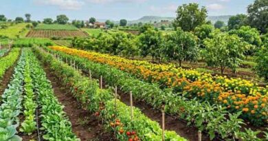 ग्वालियर में उद्यानिकी फसलों का जायजा लेने पहुंचे कृषि उत्पादन आयुक्त, पीएमएफएमई योजना की तेल मिल इकाई देखी