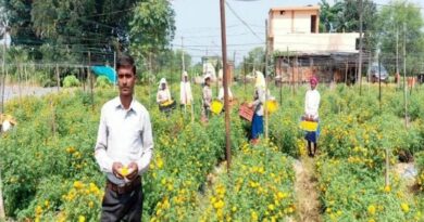 रायपुर: फ्लोरीकल्चर हब प्रोत्साहन योजना से घनश्याम साहू की खेती को मिली नई दिशा, 4.83 हेक्टेयर में उगा रहे फूल और सब्जियां