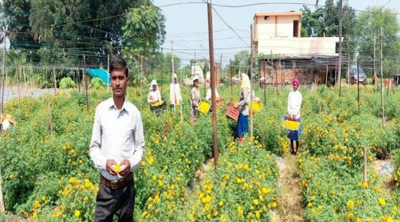 रायपुर: फ्लोरीकल्चर हब प्रोत्साहन योजना से घनश्याम साहू की खेती को मिली नई दिशा, 4.83 हेक्टेयर में उगा रहे फूल और सब्जियां