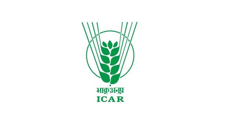 विदिशा: खेतों में पहुंची ICAR-राष्ट्रीय सोयाबीन अनुसंधान संस्थान की टीम, फसल और कीट-रोग का लिया जायजा