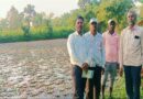 बालाघाट: जलभराव वाले खेत में उगा रहे सिंघाड़ा, युवा किसान युवराज पारधी ने खोजा खेती का नया विकल्प  