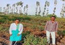 धार के किसान असलम शाह ने अपनाई गुलाब-गेंदा की खेती, सालाना कमा रहे 3 लाख रुपये का शुद्ध मुनाफा