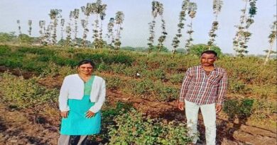 धार के किसान असलम शाह ने अपनाई गुलाब-गेंदा की खेती, सालाना कमा रहे 3 लाख रुपये का शुद्ध मुनाफा