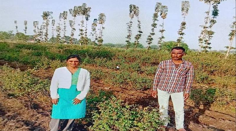 धार के किसान असलम शाह ने अपनाई गुलाब-गेंदा की खेती, सालाना कमा रहे 3 लाख रुपये का शुद्ध मुनाफा