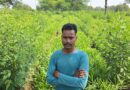 छत्तीसगढ़ के किसान ने बदला खेती का तरीका, अदरक के साथ मेड़ों पर उगाई अरहर; मिलेगा डबल मुनाफा