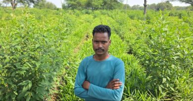 छत्तीसगढ़ के किसान ने बदला खेती का तरीका, अदरक के साथ मेड़ों पर उगाई अरहर; मिलेगा डबल मुनाफा