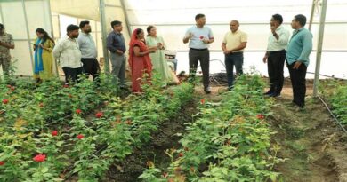 झाबुआ: कलेक्टर डॉ. योगेश ने खेतों और पॉलीहाउस का किया निरीक्षण, फूलों की कटाई में आधुनिक मशीनों के उपयोग के निर्देश