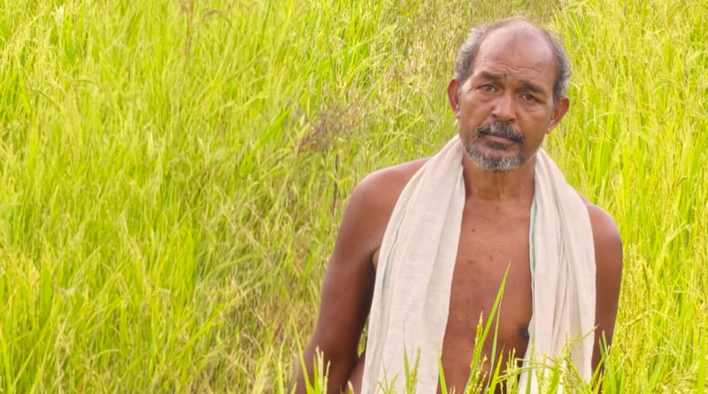 रायपुर: सरगुजा के किसान ने अपनाई सुगंधित धान की खेती, सरकार देगी 45 हजार रुपये की प्रोत्साहन राशि