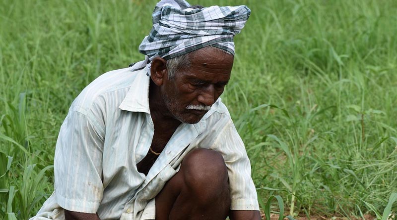महाराष्ट्र किसान कर्जमुक्ति योजना की तीसरी सूची जारी, 3.51 लाख और किसान होंगे कर्जमुक्त