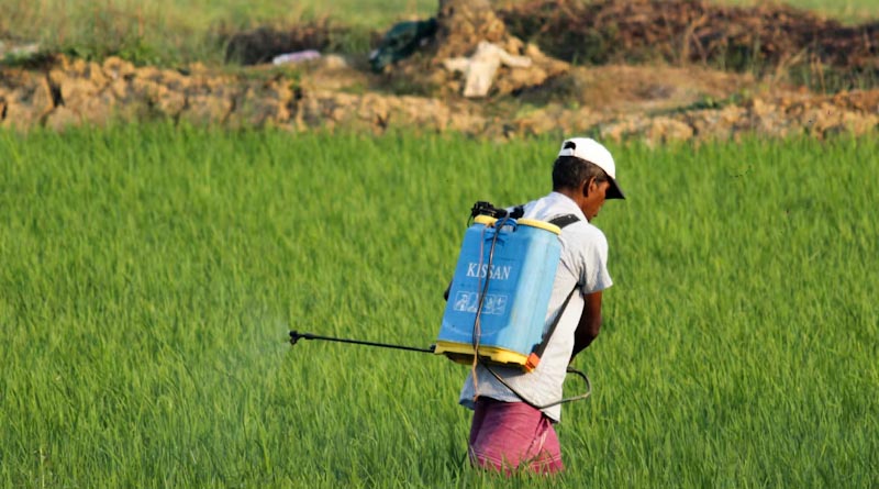 मध्य प्रदेश ने केंद्र के पैराक्वेट डाइक्लोराइड प्रतिबंध को लागू किया, स्टॉक वापस लेने और नष्ट करने के आदेश दिए