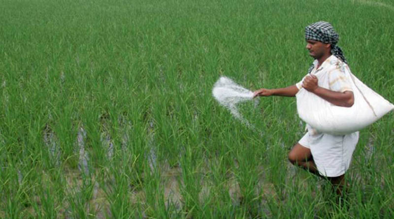 सीहोर: अमानक कीटनाशक की बिक्री पर प्रतिबंध, जिले में तत्काल प्रभाव से लागू आदेश