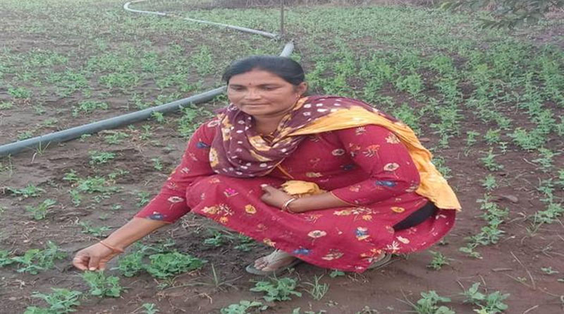 जबलपुर की महिला किसान रुक्मणी पटेल बनीं मिसाल, खेती से कर रहीं लाखों की कमाई