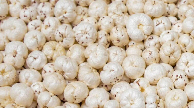 मखाना खेती को मिलेगा बढ़ावा, छिंदवाड़ा जिले में 6 हेक्टेयर का लक्ष्य निर्धारित