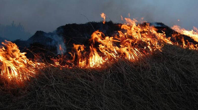 ग्वालियर : जे-फार्म ऐप से कृषि यंत्र किराये पर लेकर करें फसल अवशेषों का प्रबंधन