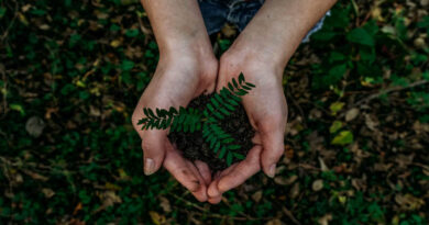 माइक्रोबायोम तकनीक से पर्यावरण संरक्षण और टिकाऊ खेती को बढ़ावा देगी योगी सरकार