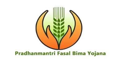 कृषि मंत्री नेताम के निर्देश: 8,444 किसानों के लंबित फसल बीमा क्लेम का 3 दिन में होगा भुगतान