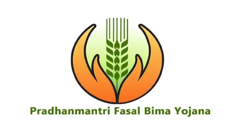 कृषि मंत्री नेताम के निर्देश: 8,444 किसानों के लंबित फसल बीमा क्लेम का 3 दिन में होगा भुगतान