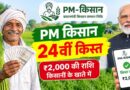 PM Kisan 24th Instalment: दिवाली से पहले खाते में आ सकते हैं ₹2,000, जानें पैसे पाने के लिए क्या जरूरी है