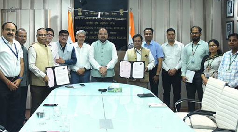 गेहूं-चावल के सुरक्षित भंडारण के लिए नई तकनीक पर होगा शोध, ICAR-FCI ने किया समझौता