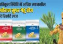 खेत में नमी कम, पानी सीमित: किसान कौन सी गेहूँ किस्म चुनें?