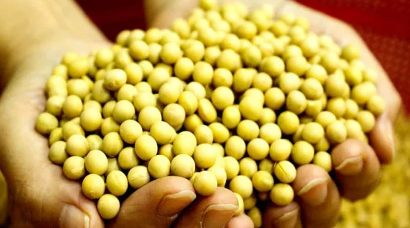 उज्जैन : सोयाबीन उपार्जन के लिए किसानों का पंजीयन 3 से 17 अक्टूबर तक