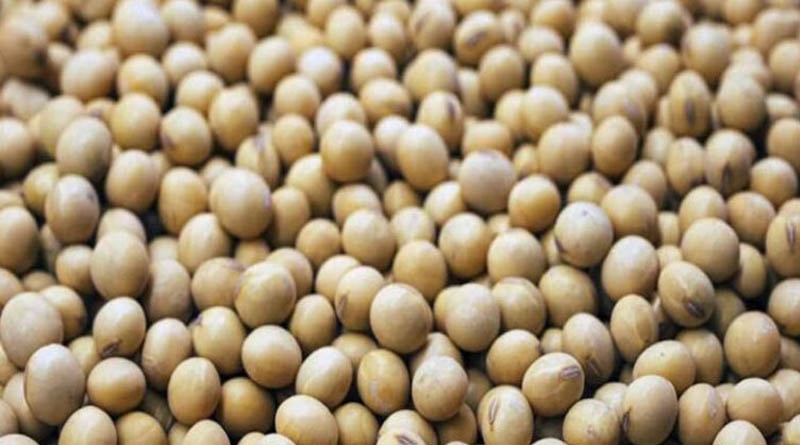 सोयाबीन पंजीयन की अंतिम तिथि बढ़ाकर 24 अक्टूबर की गई