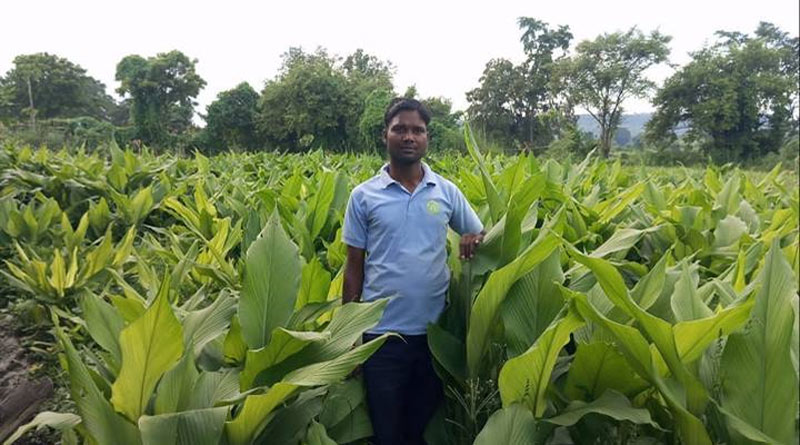परंपरागत खेती से आगे बढ़े कटनी के 450+ आदिवासी किसान, 125 एकड़ में उगा रहे मसाला-औषधीय फसलें  
