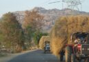 उमरिया : कस्टम हायरिंग सेंटर में कृषि यंत्रों की उपलब्धता