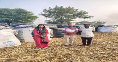 मक्का साइलेज यूनिट से पशुपालन को मिल रही नई दिशा, सागर के पुष्पेन्द्र कुर्मी ने पेश की मिसाल