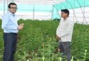 रतलाम: एक बीघा में डच गुलाब की खेती, रोजाना 4 से 5 हजार रुपए कमा रहे किसान दिलीप सिंह आंजना
