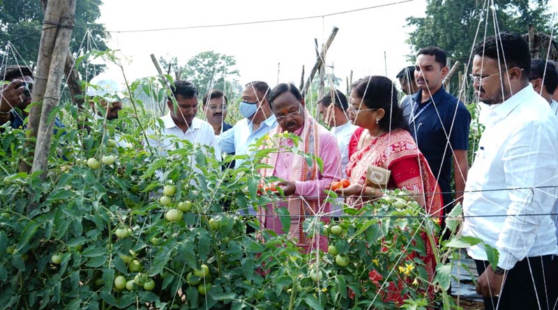 छत्तीसगढ़ में 8 हजार से अधिक किसानों को मिलेगा 3.8 करोड़ का फसल बीमा क्लेम, 3 दिन के भीतर होगा भुगतान