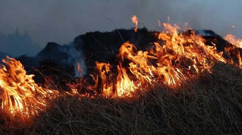 हरदा : कृषि विज्ञान केंद्र ने नरवाई प्रबंधन के लिये किसानों को दी सलाह