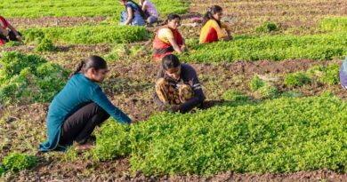 राजस्थान: महिला किसान दिवस पर संगोष्ठी, कृषि अर्थव्यवस्था में महिलाओं की भूमिका पर चर्चा