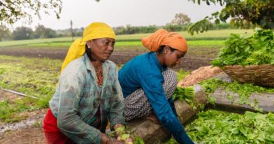 अंडमान के दुर्लभ फल से महिला उद्यमियों ने खड़ा किया नया कारोबार