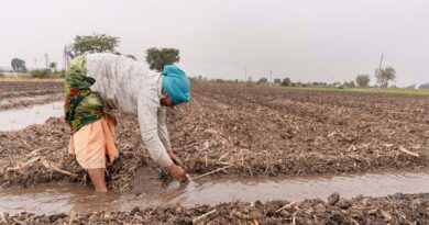 जबलपुर की प्रीति पटेल का महिला किसान दिवस पर दिल्ली में हुआ सम्मान, प्राकृतिक खेती और नवाचार से बनाई पहचान  