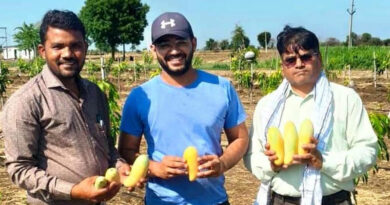 किसान कृष्णकांत ने थाईलैंड के ‘बनाना मैंगो’ से लिखी तरक्की की नई इबारत