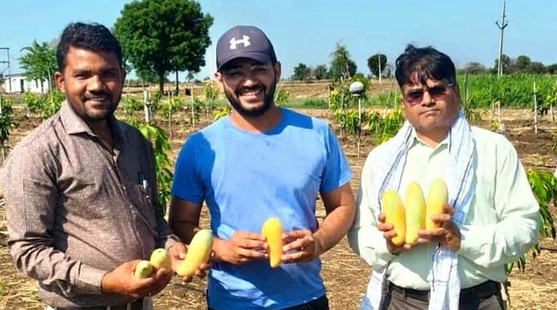 किसान कृष्णकांत ने थाईलैंड के ‘बनाना मैंगो’ से लिखी तरक्की की नई इबारत