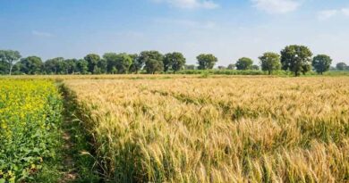 बिहार में फसल सहायता योजना का पंजीयन 31 अक्टूबर तक, अब तक 73 हजार आवेदन