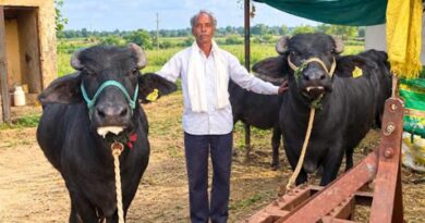 छिंदवाड़ा : डेयरी प्लस योजना से आई आर्थिक समृद्धि