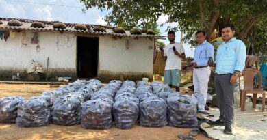 रायपुर: ग्राफ्टेड बैंगन की खेती से बदली किसान की राह, कोलकाता तक पहुंची उपज; ₹38/kg तक मिल रहा भाव    